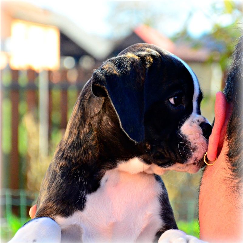 9 weeks